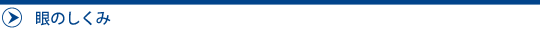 眼のしくみ